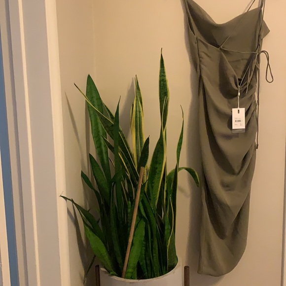 LAST 1! C/MEO Collective Asymmetrical Green Dress - Picture 7 of 10